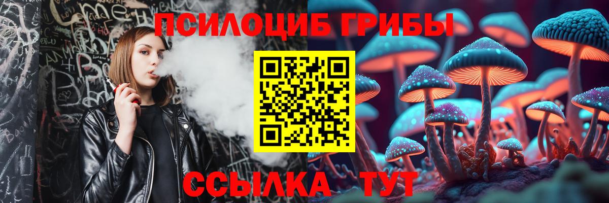 Псилоцибиновые грибы Magic Shrooms  Вход с VPN  закладки  Коломна 